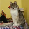 Отзыв от Людмила Фадеева
